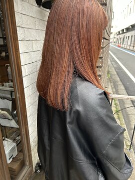 アッピアス 大和(Appias) ミディアム＿オレンジ＿オレンジブラウン