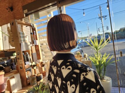 ルーミス バズヘアー(Loomis Buzzhair)の写真