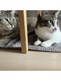 ディアローグ イオンスタイル碑文谷店 令和になり2匹の猫ちゃんが新しく家族に。毎日賑やかです。　