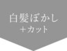 ↓↓ここから白髪ぼかしメニュー↓↓【押さないでください】