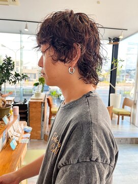 パーム スプリングス(Palm Springs) Hair by Palm Springs 1063