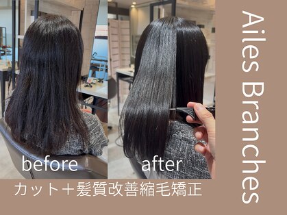 エル ブランシェ(Ailes Branches)の写真