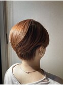 アプリコットショートヘアー