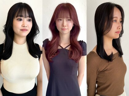 シェルパ(SHERPA)の写真
