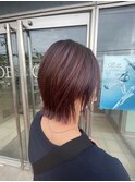 イルミナカラー