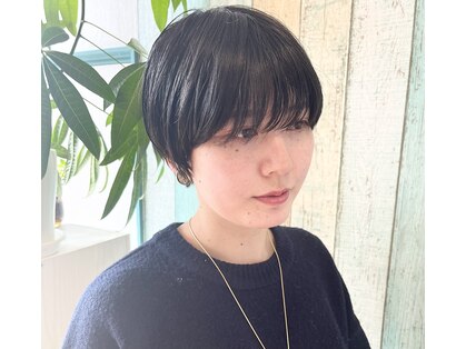 キララ(kirara)の写真