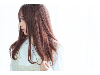 リラ(LILAC)の写真