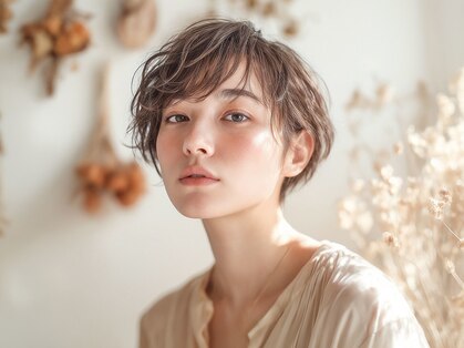 ソル(SOL)の写真