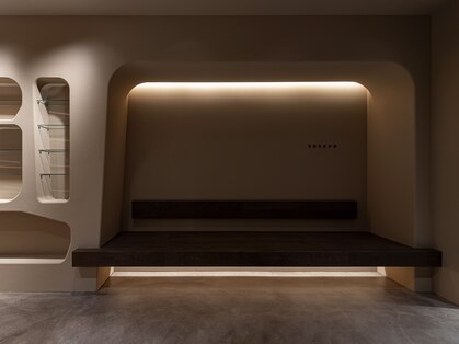 ナナツボシテテラ(tetera)の写真