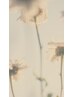 【エイジングケアコース】ナノバブル付◇カット+カラー+トリートメント￥11000