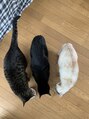 ピアリ サクラノ(Peri sakurano) 猫を3匹飼っています。動物好きな方お話してください☆