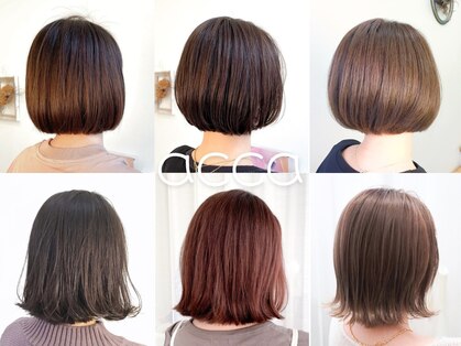 アッカ(acca)の写真