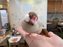 オリーブの家
