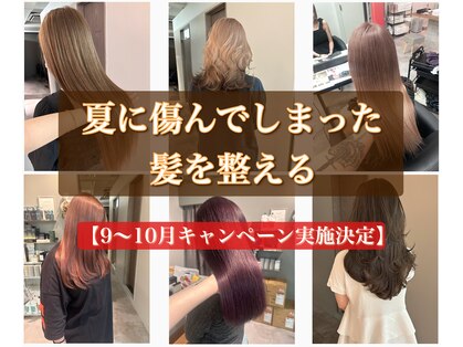 ポノ(po_no)の写真