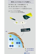 赤みに対するアプローチ