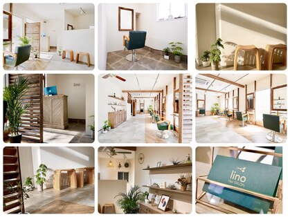 リノ 辻堂(lino)の写真