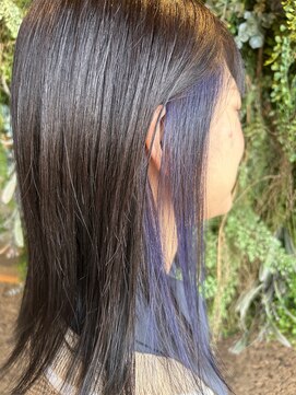 ノーブルヘアー(NOBLE HAIR) インナー×パープル