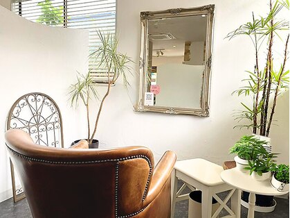 オット(otto)の写真