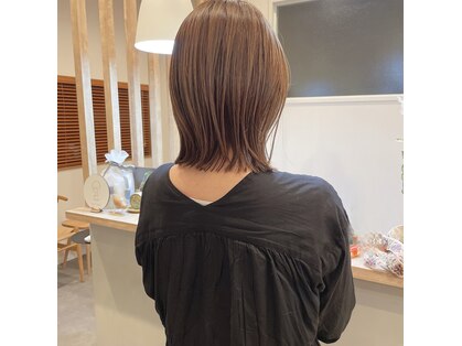 トウキ(touki)の写真