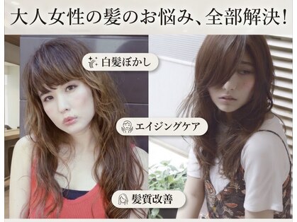 アリエ 銀座(allier)の写真