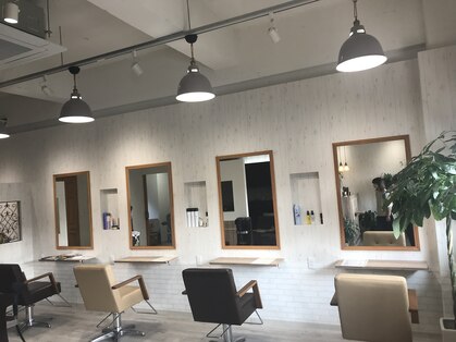 ニュートラル(NEUTRAL)の写真