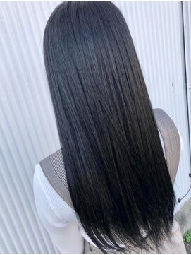 エルモ(ELMO) ダークブルー / カガヤキプラス