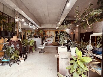 コノコア(conocoa)の写真/1席のみの贅沢空間★音楽を聴きながら周りを気にせずゆったりとしたサロンtimeが楽しめます♪