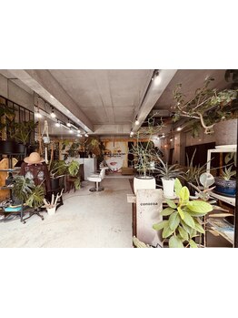 1席のみの贅沢空間★音楽を聴きながら周りを気にせずゆったりとしたサロンtimeが楽しめます♪