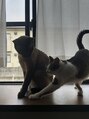 ヴィハーラ ヘアアンドビューティーライフサロン(VIHARA HAIR BEAUTY LIFE SALON)&nbsp;猫が好きです。猫おじさんと呼ばれています。