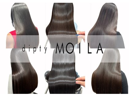 ディプティモイラ(dipty MOILA)の写真