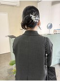 リボンカチモリ