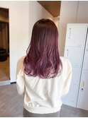 ピンクラベンダー