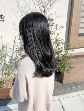 ルヴェール(Le Vert) 艶髪　ブルーグレーブラック