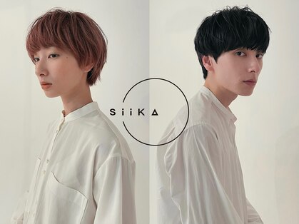シーカ(siika)の写真