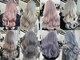 エゴル ナゴヤサカエ(ENGOL NAGOYA SAKAE)の写真