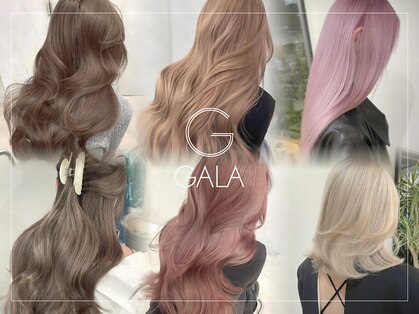 ガラ(GALA)の写真