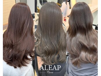 ALEAP parrot 【アリープ　パロット】