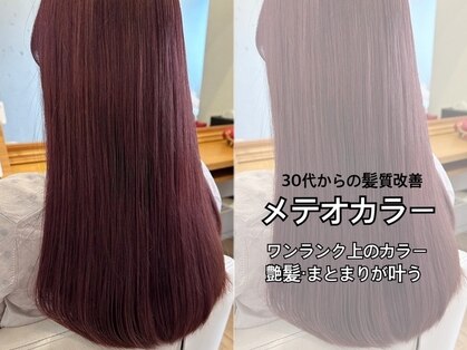 クマ(kuma.)の写真