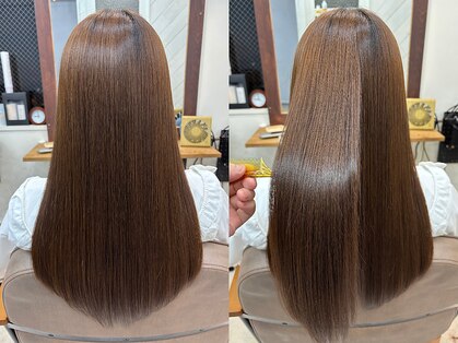 イリーブ(elieve)の写真