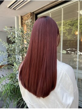 サロン(SALON) RED brown color