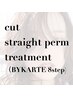 【ストレート全般】カット＋ストレート＋BYKARTE 超音波 プレミアム TR
