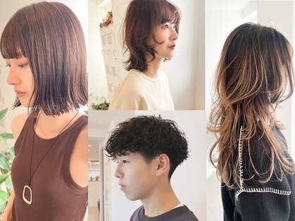 シイカ(sika.)の写真