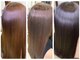 ヘアーオーパスの写真