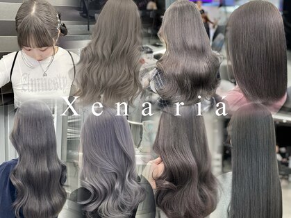 ジーナリア(Xena ria)の写真