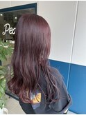 ラベンダーカラー