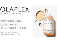 パティア(patia)の雰囲気（OLAPLEX正規取扱店。ダメージを抑え髪を強くする.ハリコシアップ）