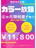 【初回カット+トリートメント各1回付】4ヵ月カラーし放題