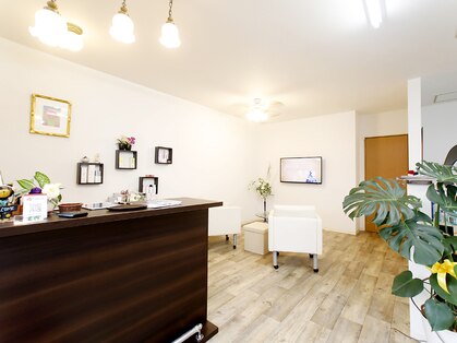 モカ(MOKA)の写真