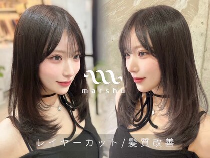 マーシュ ルーヴェ(marshu Luve)の写真