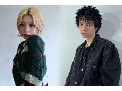 ホリー(HOLLY)の写真